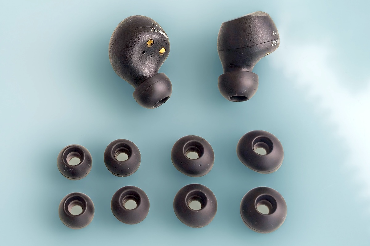 Final ZE 3000 SV with ear adapters